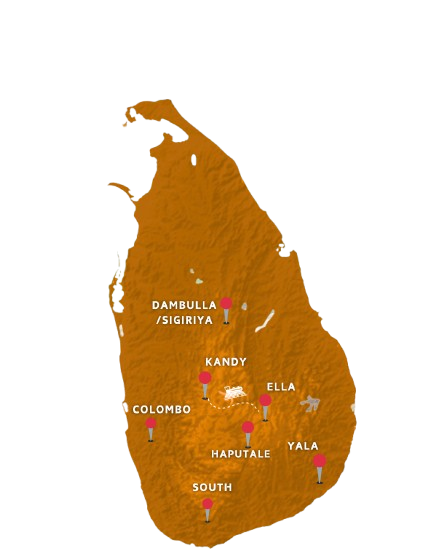 1-removebg-preview (1)