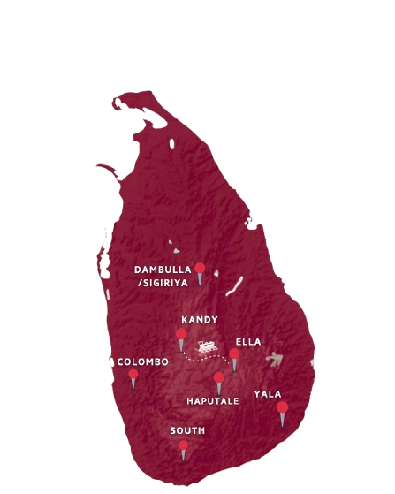 1-removebg-preview (2)