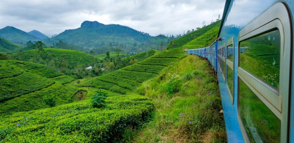 sri lanka holiday packages